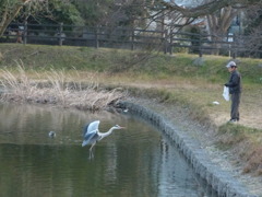 あおちゃんはいいな