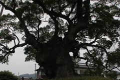 何を見てきたのかな？