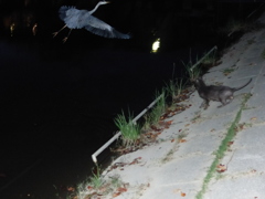 おっとあぶない