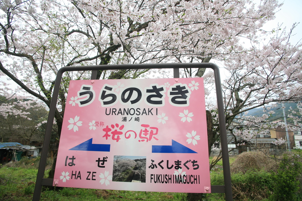 桜駅