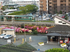 つつじの駅