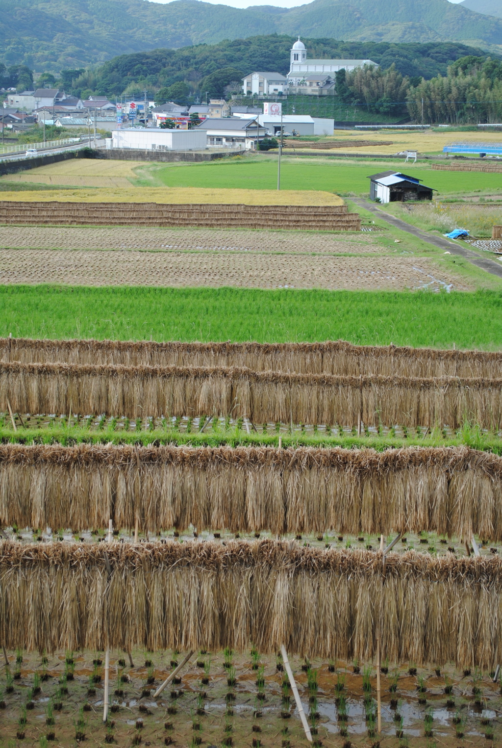 こんなとこです