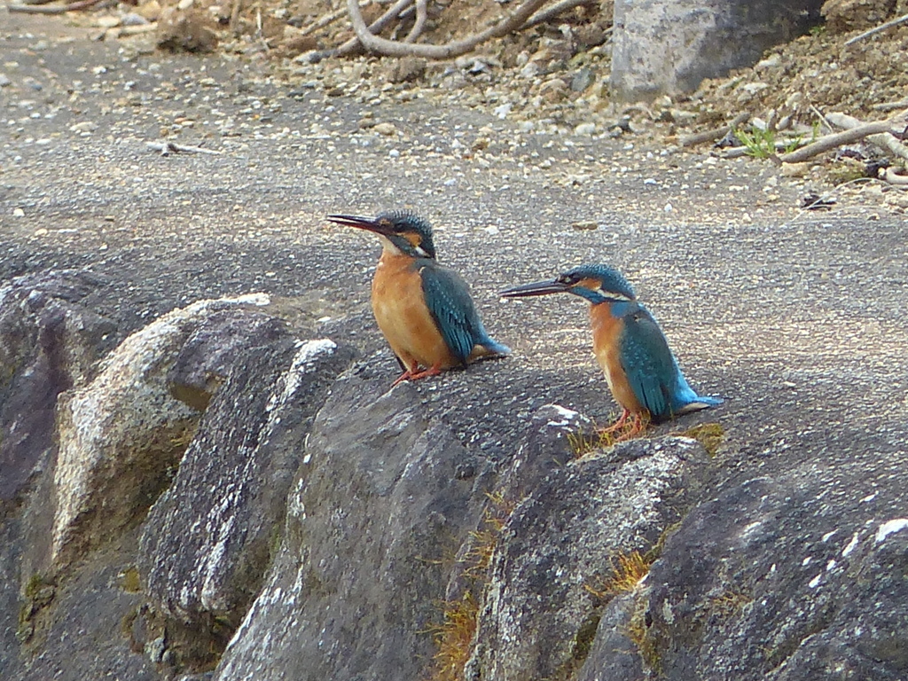 もうすぐホワイトデー