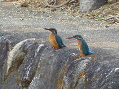 もうすぐホワイトデー