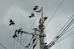 かっこいいでしょ