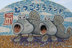 かわいいムツゴロウ