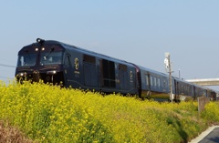 今年はないみたい