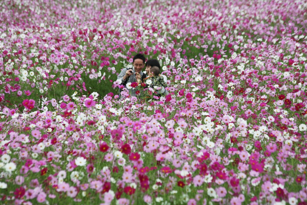 きれいに撮ってね