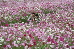 きれいに撮ってね