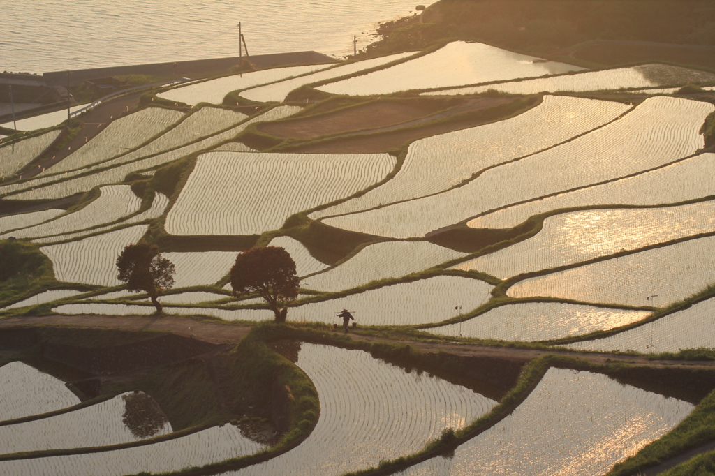 こんな人は普通いませんよ