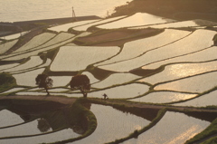 こんな人は普通いませんよ