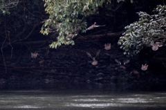 池になかなか降りません