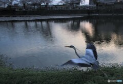 夕焼け、もう帰る