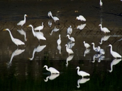 水がなくなりました