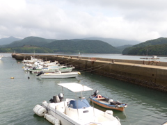 こんなとこです