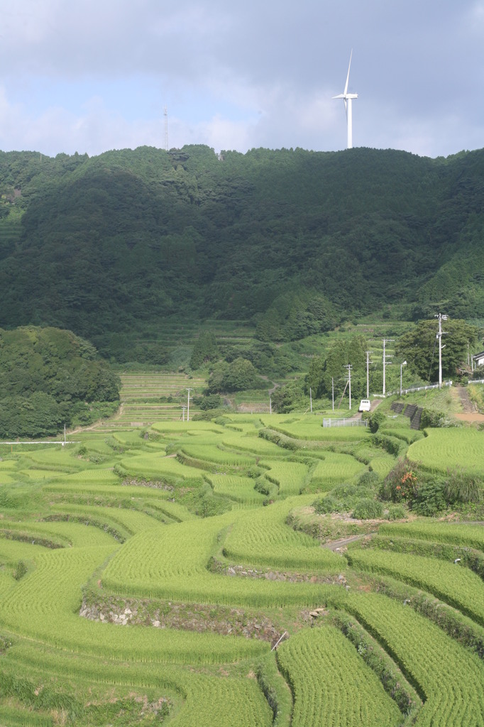 棚田と