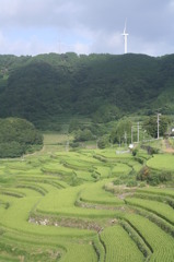 棚田と