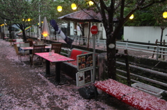 花散らし