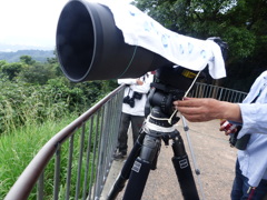 にこん、８００、