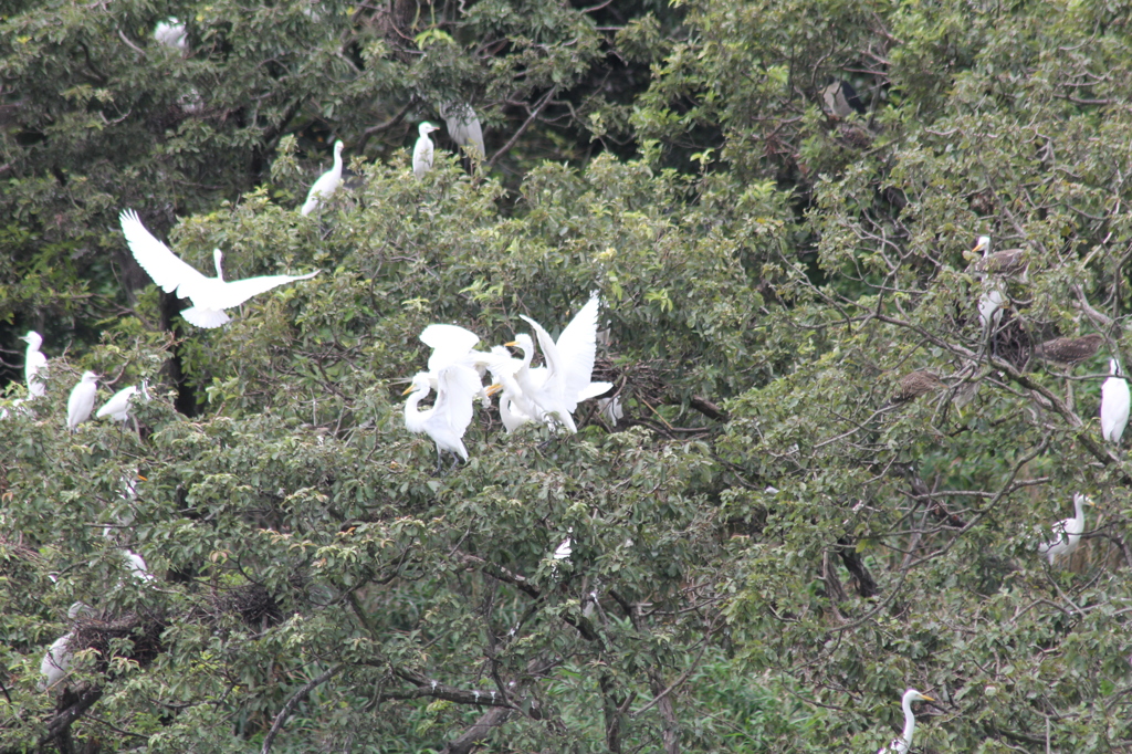 また喧嘩しよる