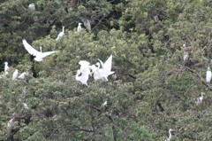 また喧嘩しよる