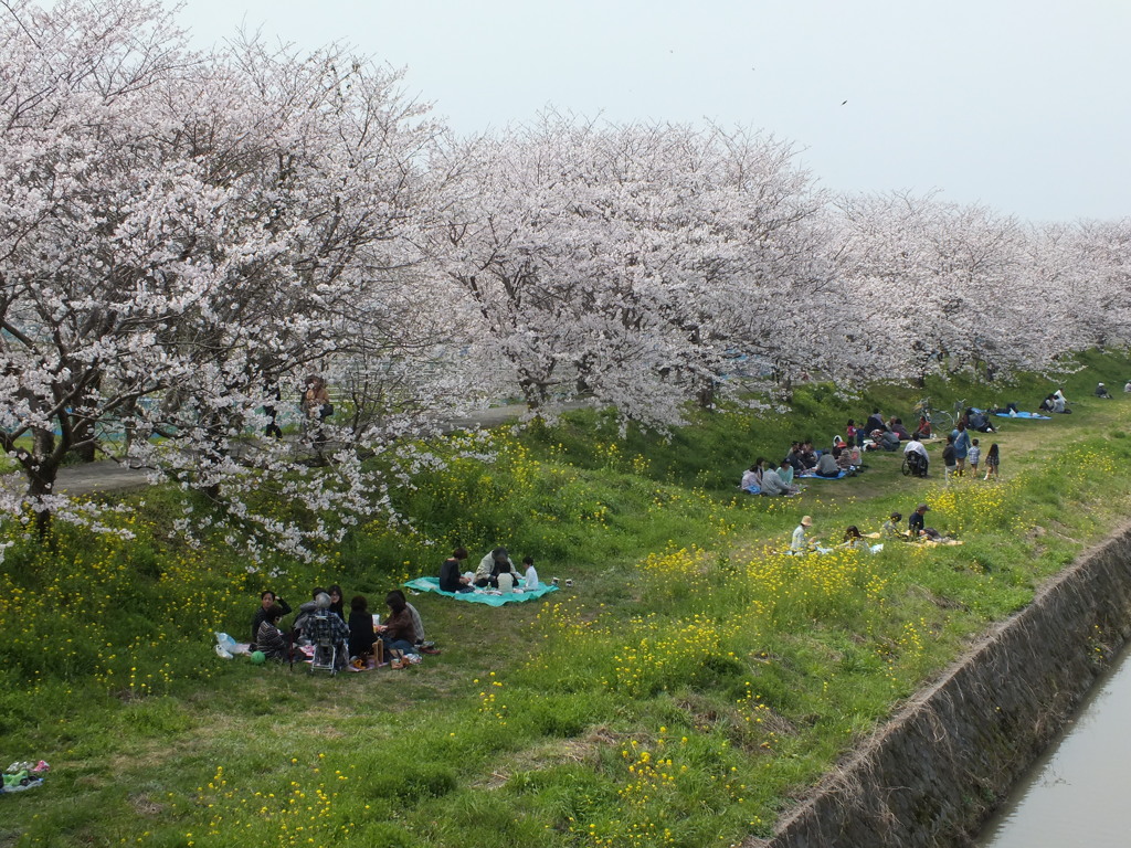 うきは市