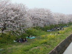うきは市