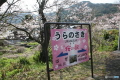 今日行かれた人から