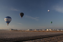 見てるほうは寒い