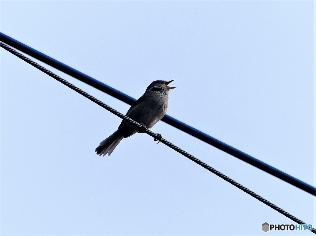 もうすぐ歌います