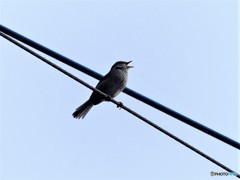 もうすぐ歌います