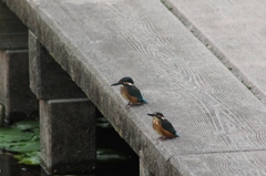 やっと会えたね