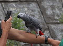 きれいに撮って