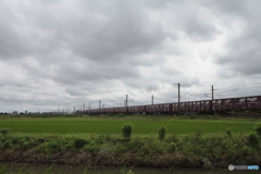 もう少し長いんですが