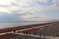 もうすぐ鳥が来ますよ