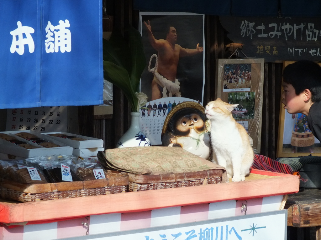 源さんの写真が