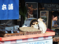 源さんの写真が