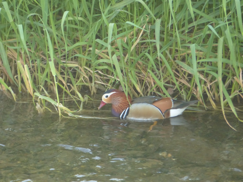 警戒しませんね