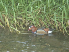 警戒しませんね