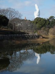 あおちゃんを探そう