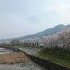 今週末までは