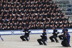 決まったポーズ