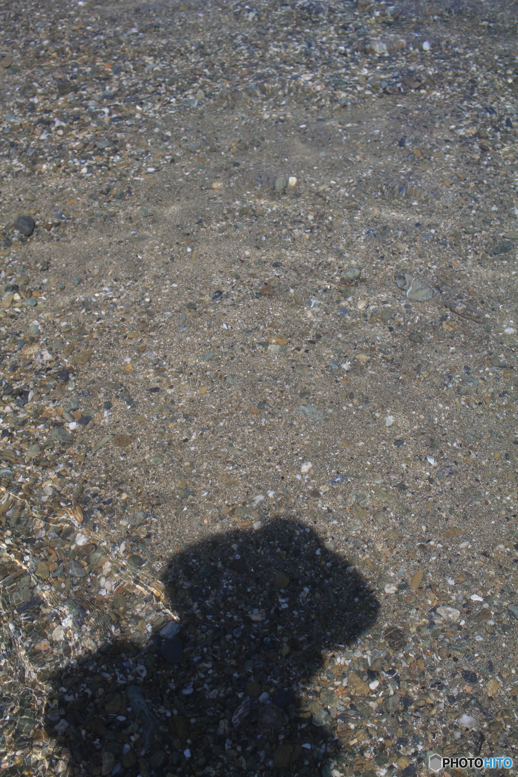 やったー日本一