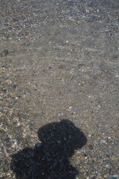 やったー日本一