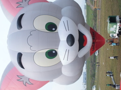 トム