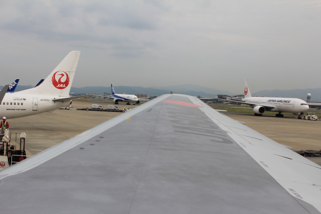 いっぱいおるね