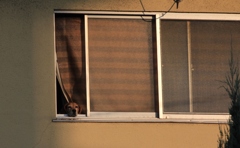 どこの日焼け止めがいいかな？