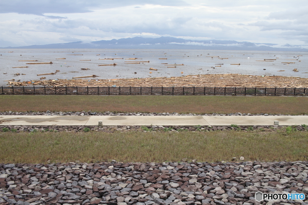 まだまだ流れ着くでしょう