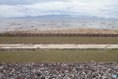 まだまだ流れ着くでしょう