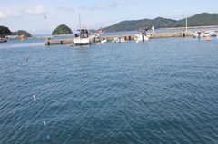 あじご釣り